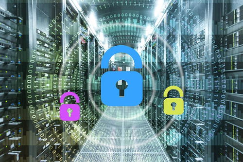 服務(wù)器租用與托管 網(wǎng)絡(luò)靈魂的基石，數(shù)據(jù)處理與存儲服務(wù)詳解